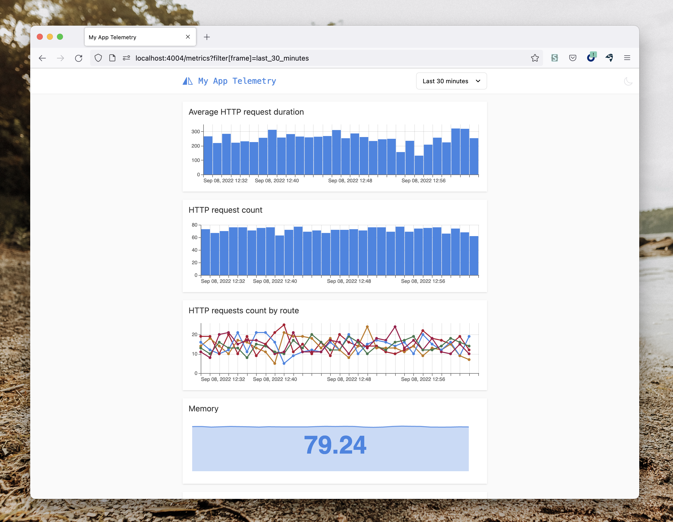 Screenshot of /metrics showcasing values and charts